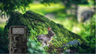 Wildlife Hunting Camera