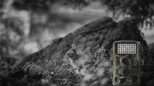 Wildlife Hunting Camera