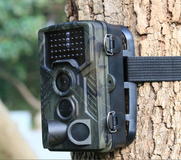Wildlife Hunting Camera