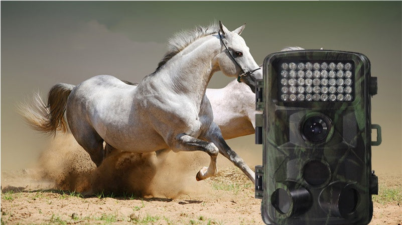 Wildlife Hunting Camera